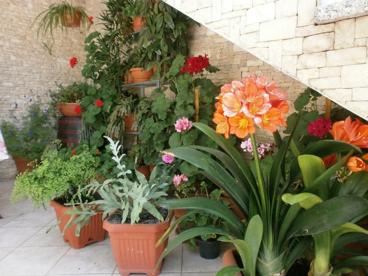 Villa Vrancic Rovinj Eksteriør bilde