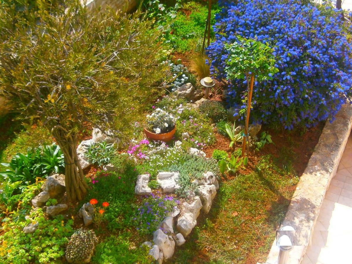 Villa Vrancic Rovinj Eksteriør bilde